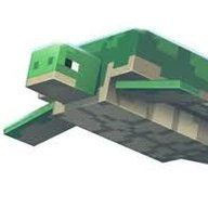 GerryTheTurtle