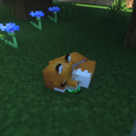 FireFoxMC