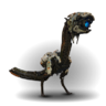 darkpit22