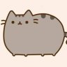 HappyCat96