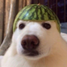 TheBuilder_BT