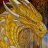 Erdor_by_Werdck