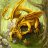 AureusDraco