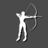 Artemis Pictures
